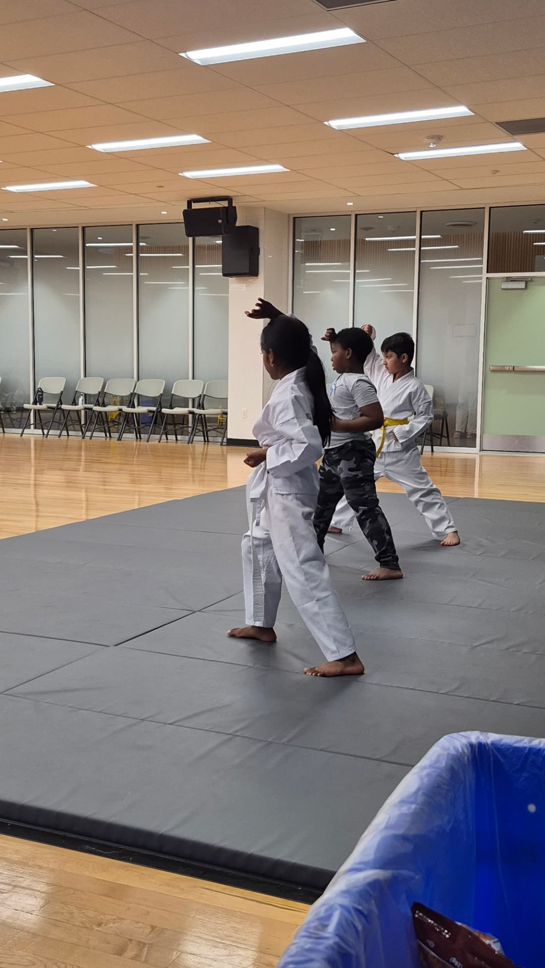 Young karate students practise strong stances together on training mats